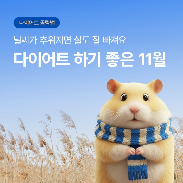 다이어트 하기 좋은 11월