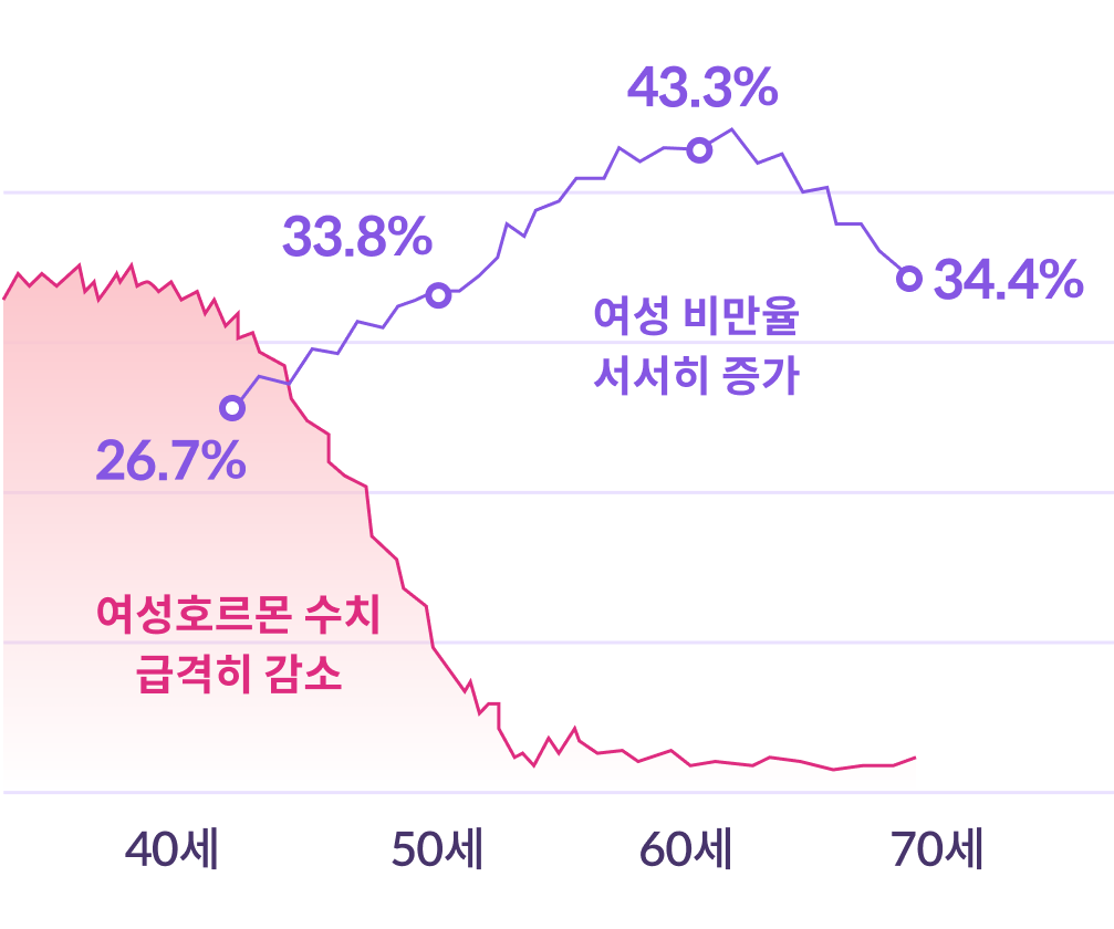 갱년기 여성호르몬 수치 급격히 감소, 여성 비만율 서서히 증가