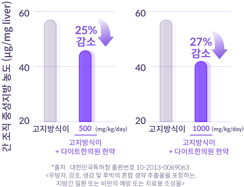 고지방식이에 의한 간 조직 중성지방 농도(μg/mg liver)와 다이트한의원 한약의 효능